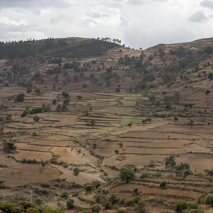 UN, others cite new displacement from Ethiopia's Tigray